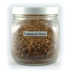 To stop smoking & cleanse, Hanna Kroeger recommended: Boil ¼ cup calamus root for 20 minutes in 1 quart raw, unfiltered apple juice. Strain. Drink ½ cup whenever you have the craving to smoke or drink 6 oz. 3 times daily. 