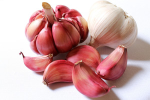 Garlic is a great herb for healthy lung function and is can ease the symptoms of hay fever.