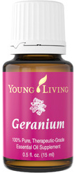 Geranium essential oil