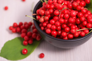 Eating color for health can introduce you to new foods like Schizandra!