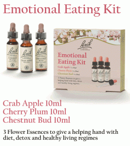 emotional_eating_kit