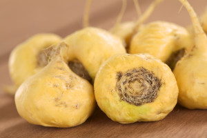 Maca balances the endocrine system without hormones